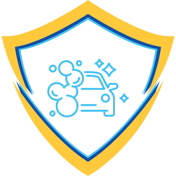 Lavado Interior Full